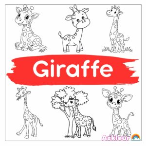 Coloriage Girafe