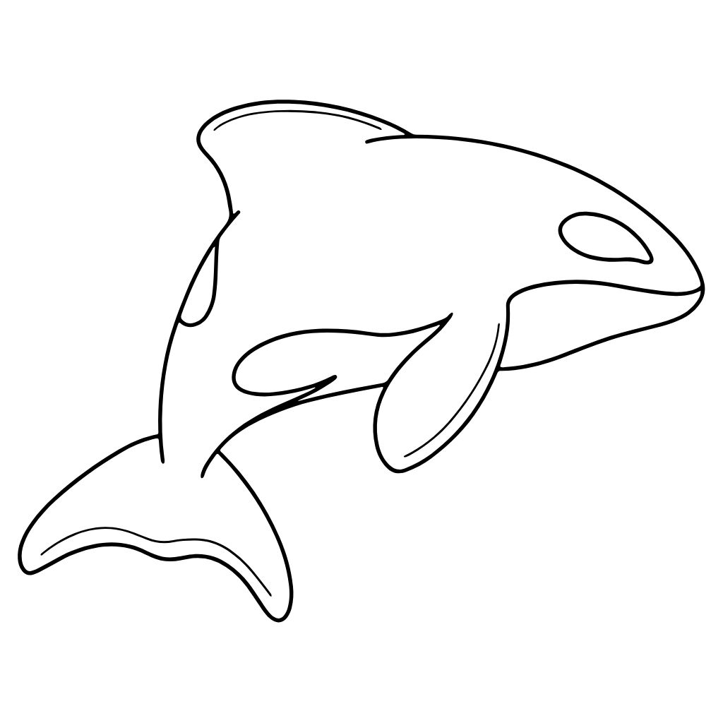 coloriage de dauphin