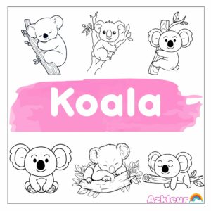 Coloriage Koala