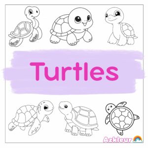 Coloriage Tortue