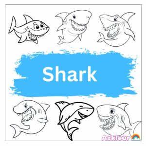 Coloriage requin
