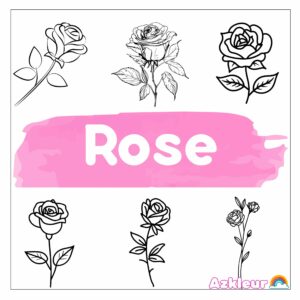 Coloriage Rose