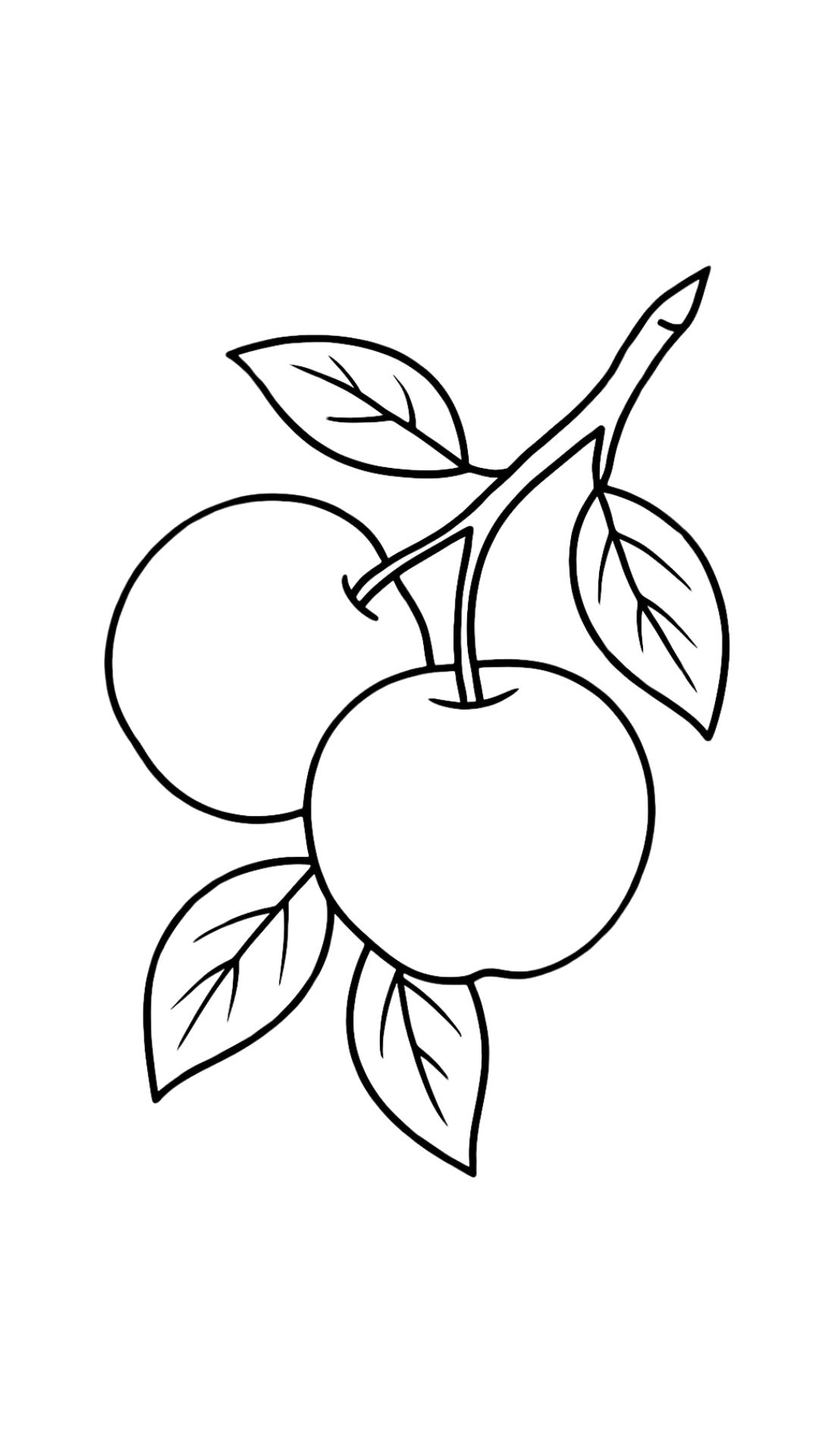 coloriage pommes