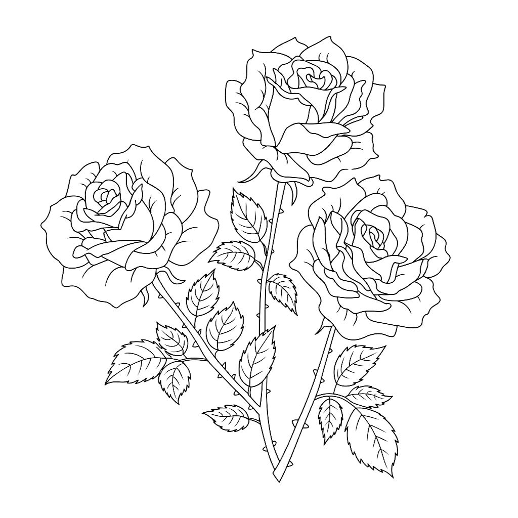 coloriage fleur rose