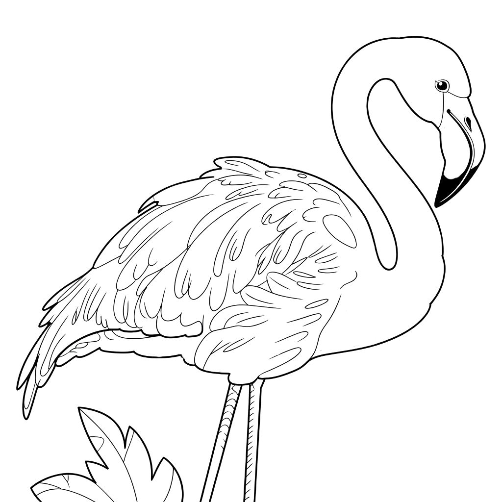 coloriage flamant rose facile