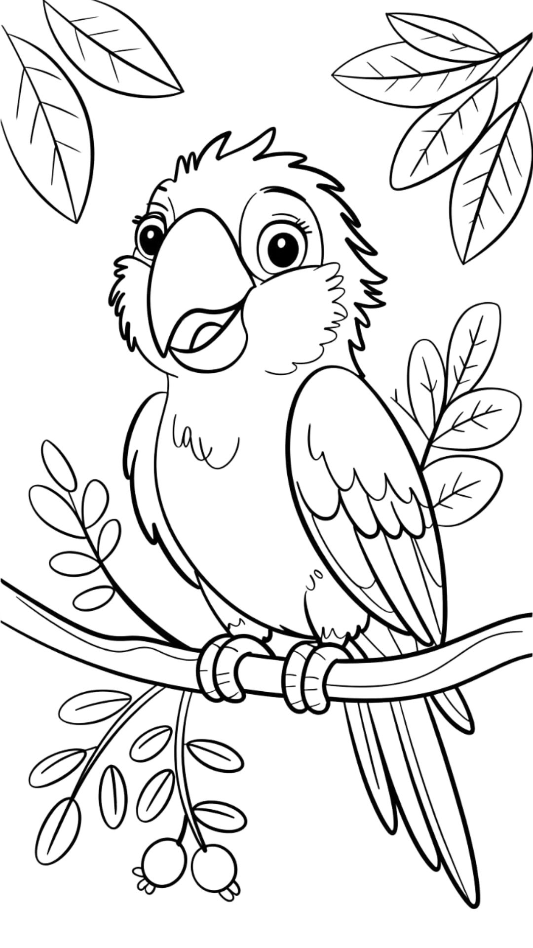 comment dessiner un perroquet