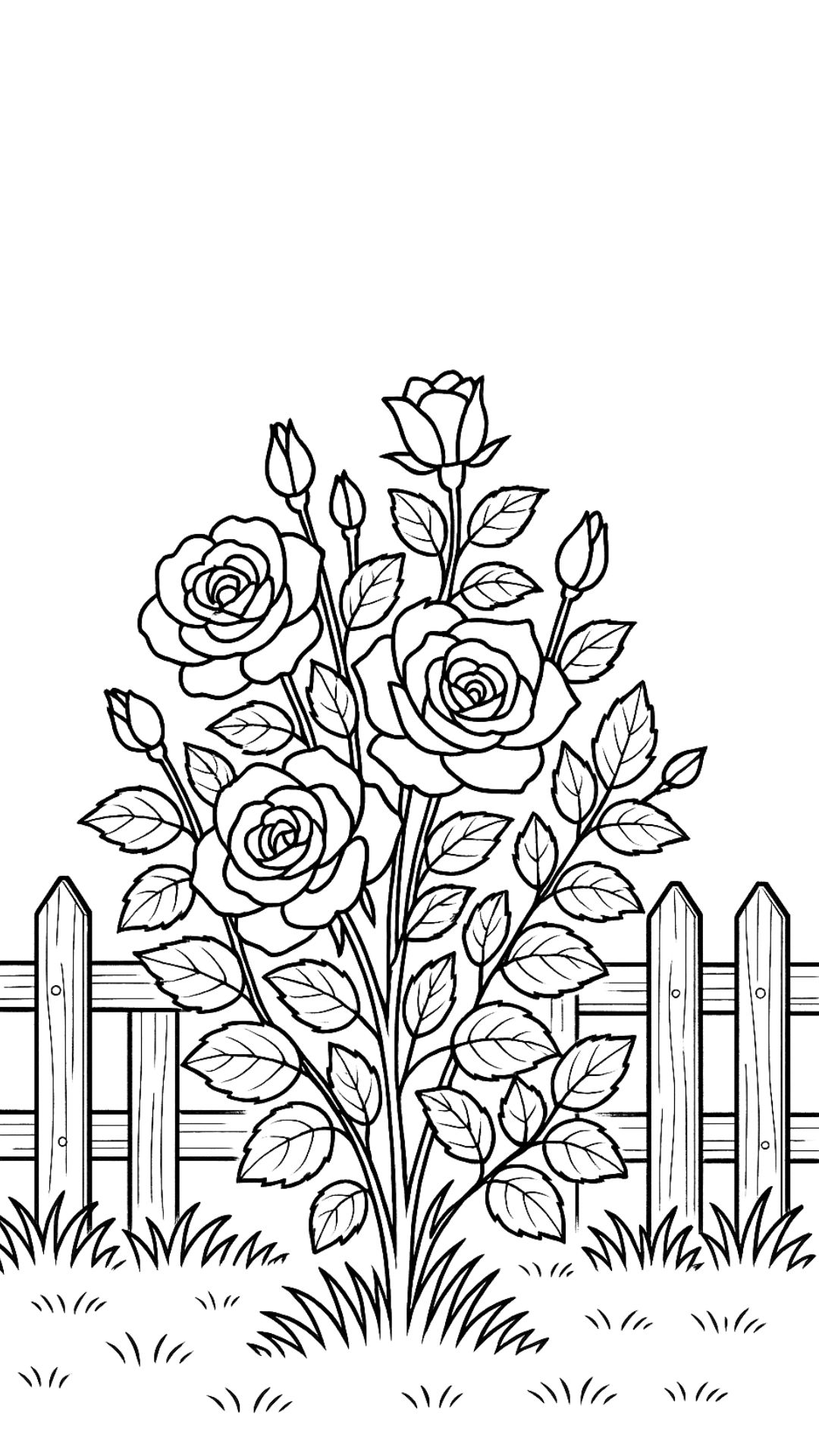 coloriage rose