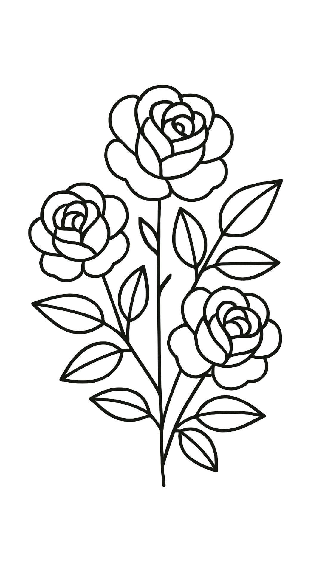 coloriage une rose
