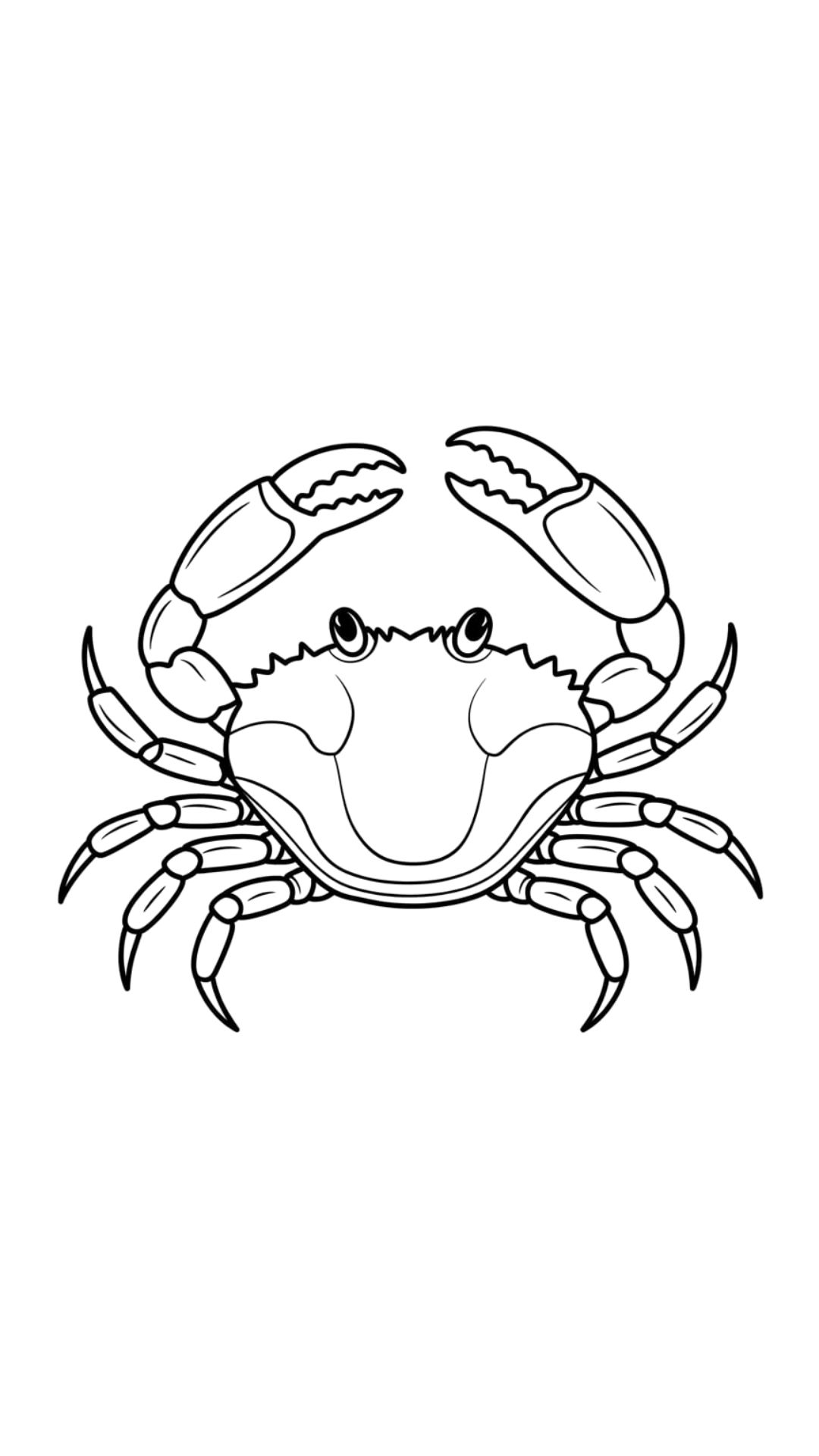 dessiner crabe facile