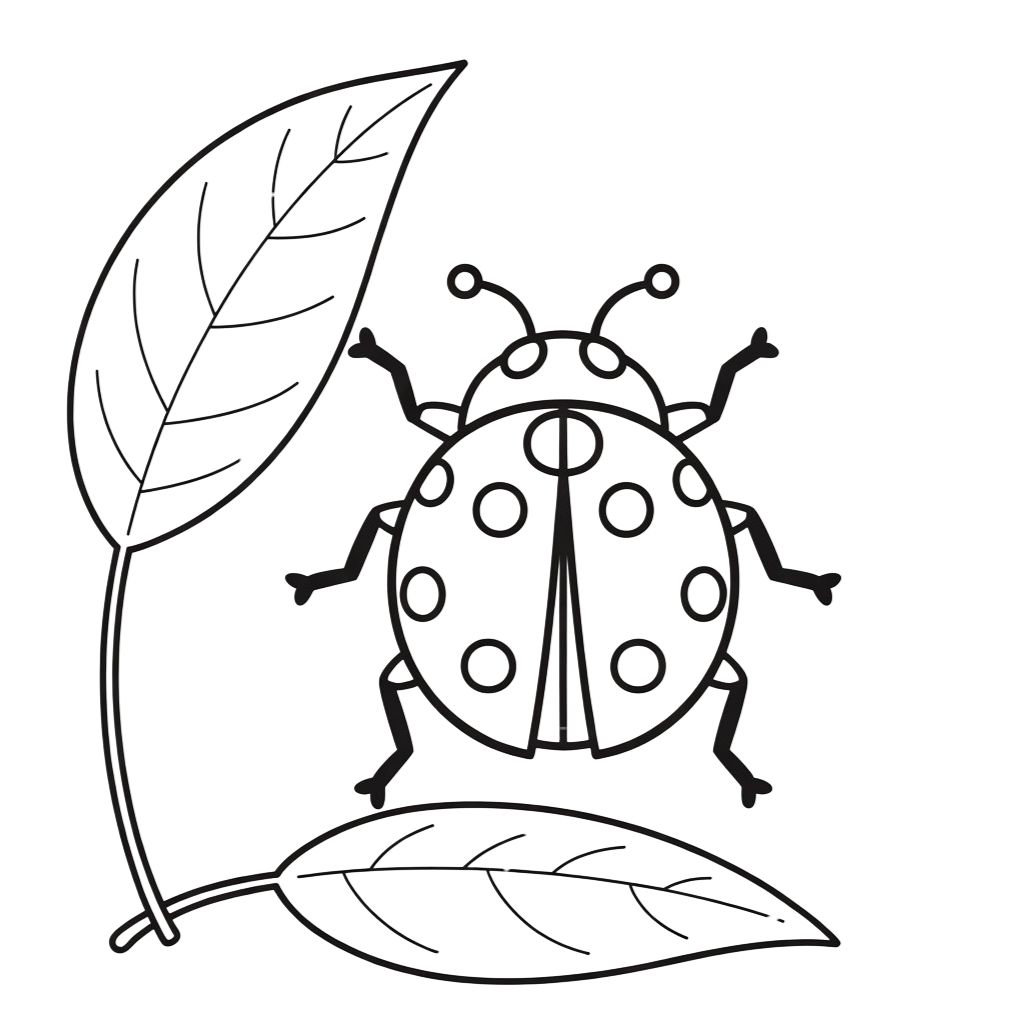 coloriage coccinelle maternelle