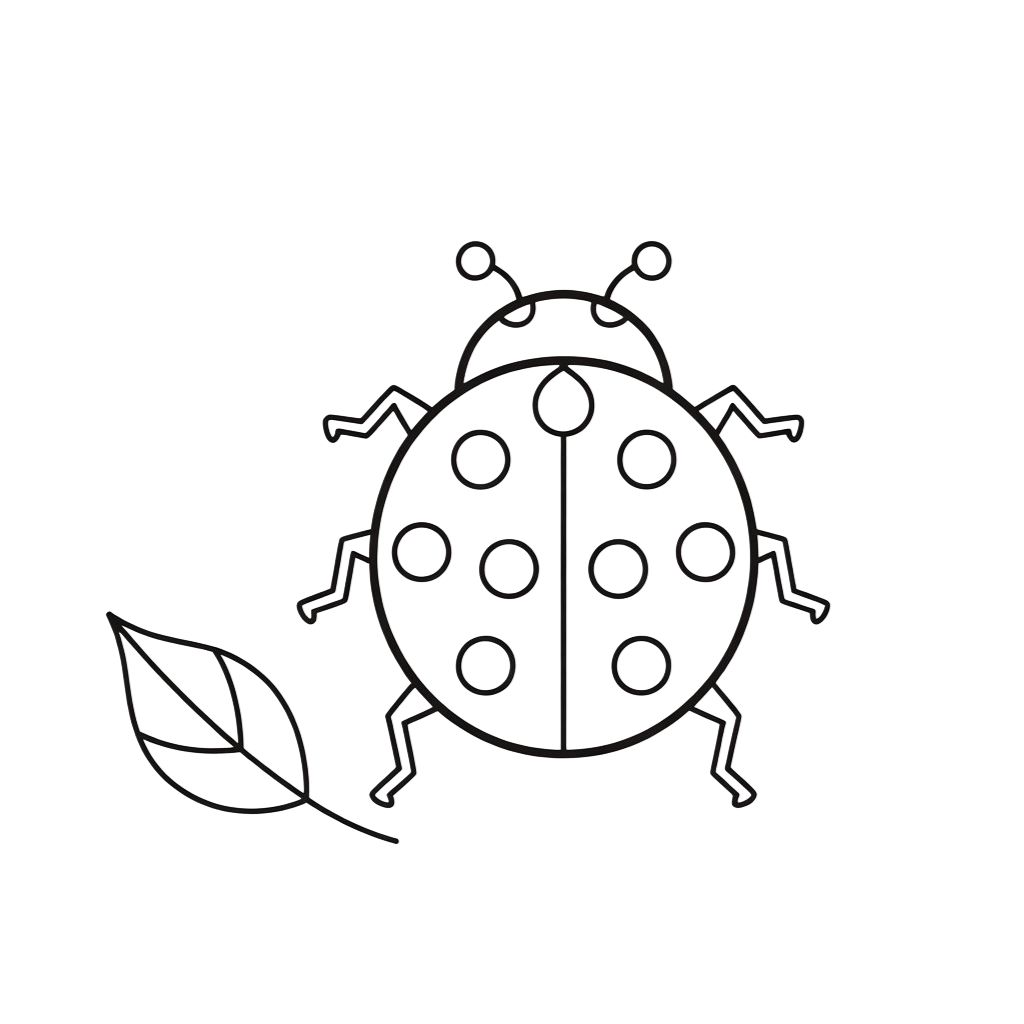 dessin coloriage coccinelle