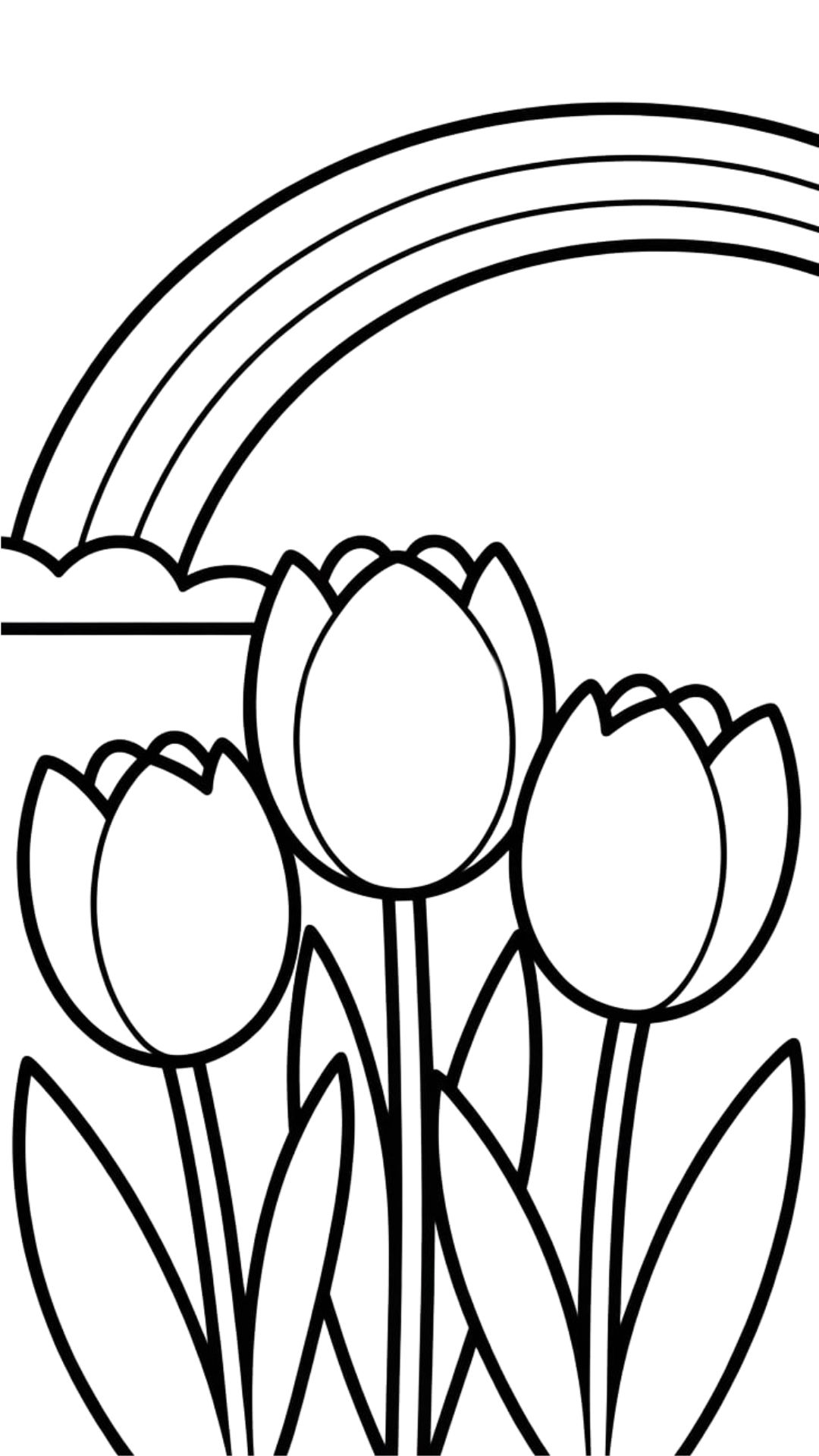 tulipe dessins