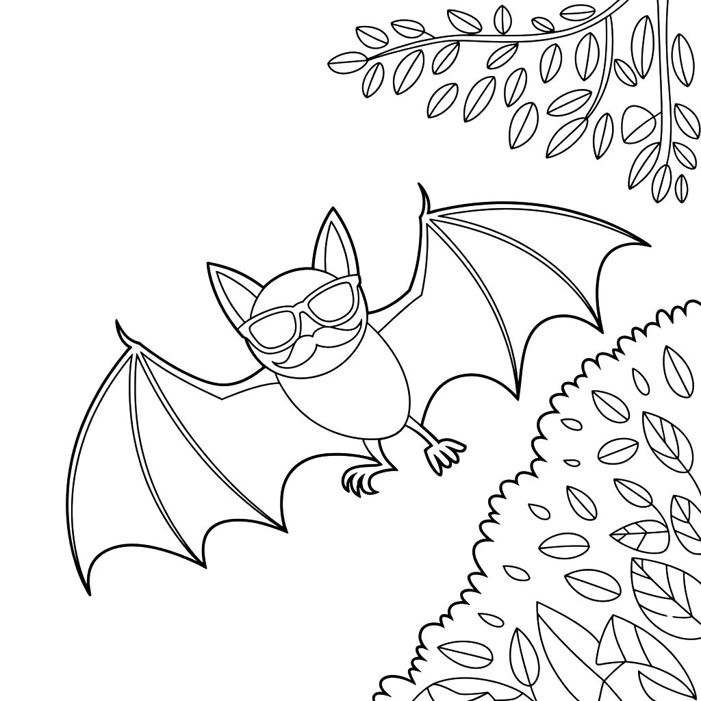 chauve-souris en dessin