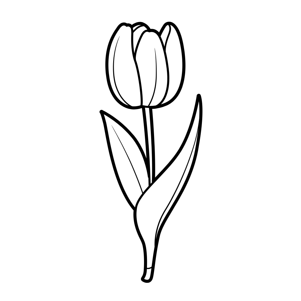 Coloriages tulipes