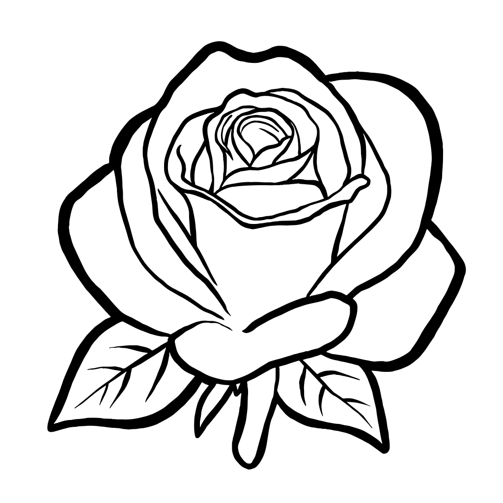 Coloriage de rose